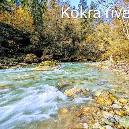 Domen'S Cozy Rentals Kranj Exteriör bild