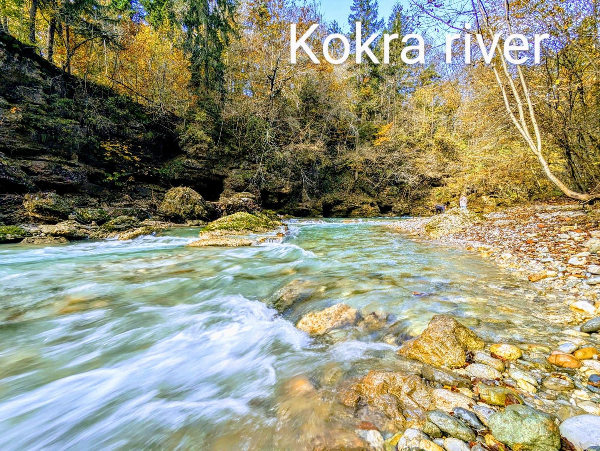Domen'S Cozy Rentals Kranj Exteriör bild